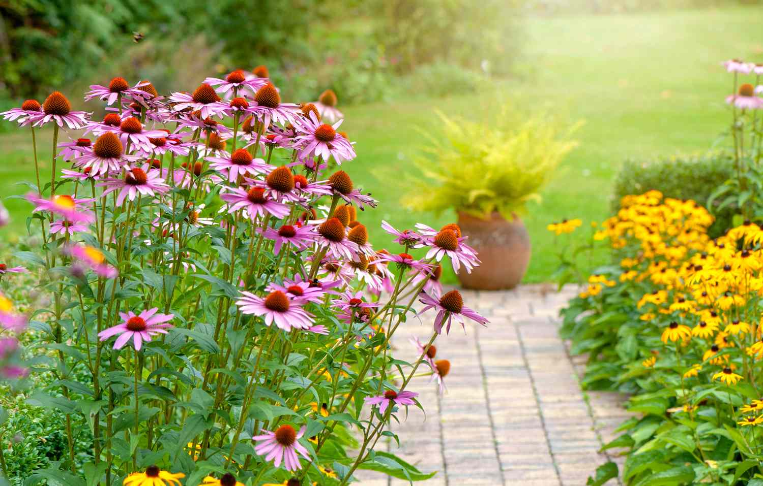 Juanita's Flower and Garden Collection