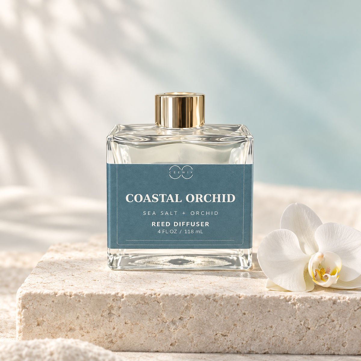 Coastal Orchid